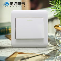 中国大陆墙面开关市场概述 质量、选择与选购指南